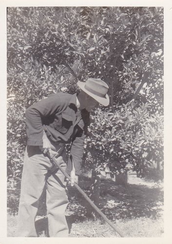 Gardening_Scottville_late_50s.jpg