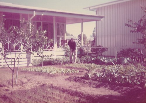 Gardening_TownVw_75.jpg