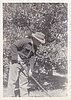 Gardening_Scottville_late_50s.jpg